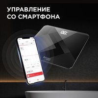 Весы Redmond 745S черный