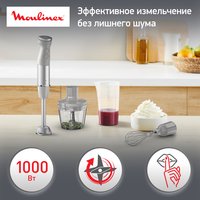 Immersion blender Moulinex DD673B10 gray