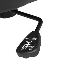 Компьютерное кресло Aceline DTG-001 черный