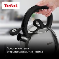 Чайник для плиты Tefal N4180317 серебристый