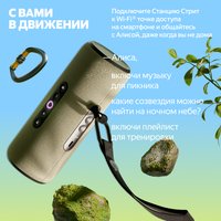 Умная портативная колонка Яндекс Станция Стрит, зеленый