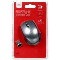Мышь беспроводная DEXP WM-4004GB  серый