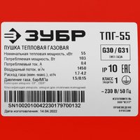 Тепловая пушка газовая Зубр ТПГ-55