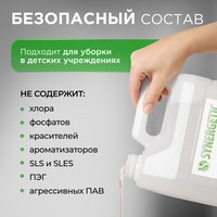 Чистящее средство SYNERGETIC 106500