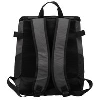 Изотермическая сумка Aceline BP-21