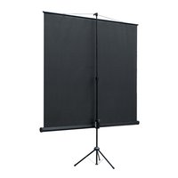89" Экран для проектора Lumien Eco View LEV-100105