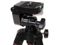 Shtativ DEXP WT-3130N jigarrang