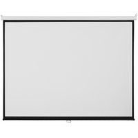 100" Экран для проектора DEXP WM-100