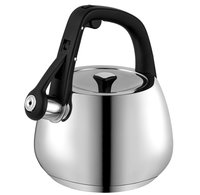 Чайник для плиты Polaris Mela-2.5L серебристый