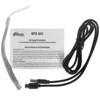 Радиоприемник Ritmix RPR-001 черный