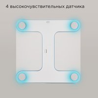 Весы Redmond SB1811 голубой