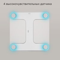 Весы Redmond SB1811 серый