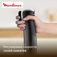 Immersion blender Moulinex DD94G8F0 black