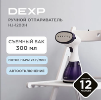 Steamer DEXP HJ-1200H purple