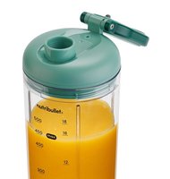 Portable blender Nutribullet NBP013GR green