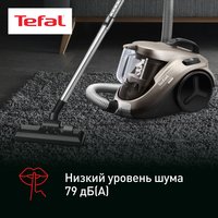 Пылесос  Tefal Compact Power TW3786RA серый