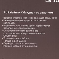 Чайник для плиты TalleR Обсидиан TR-11355 серебристый