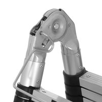 Лестница двухсекционная FinePower ZJ2060