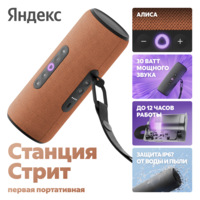 Умная портативная колонка Яндекс Станция Стрит, оранжевый