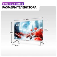 24" (61 cm) TV EVO TV 24 white
