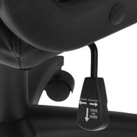 Компьютерное кресло Aceline Comfort A черный