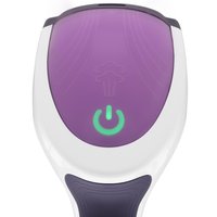Steamer DEXP HJ-1200H purple