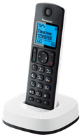 Cordless phone (DECT) Panasonic KX-TGC310UC2