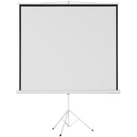 119" Экран для проектора DEXP TM-80