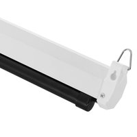 100" Экран для проектора DEXP WM-100