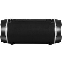 Portable speaker Fiero Intrepid P530, black