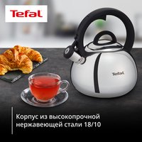 Чайник для плиты Tefal N4180317 серебристый