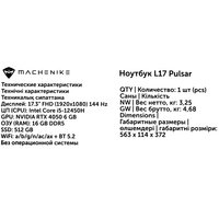 17.3" Ноутбук Machenike L17 Pulsar серый