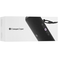 Умная портативная колонка Яндекс Станция Стрит, черный