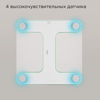 Весы Redmond SB1811 зеленый