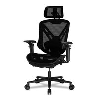 Компьютерное кресло Cougar Speeder Ergonomic черный