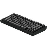 Keyboard  wireless Dark Project ALU81A Terra Nova