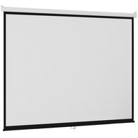 100" Экран для проектора DEXP WM-100