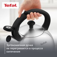 Чайник для плиты Tefal N4210117 серебристый