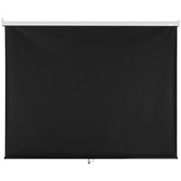 100" Экран для проектора DEXP WM-100