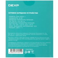 Сетевое зарядное устройство DEXP GaN CB20C-1 черный