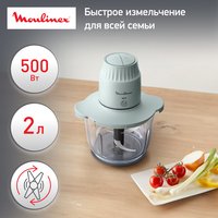 Измельчитель  Moulinex Choppeo DJ603110 зеленый