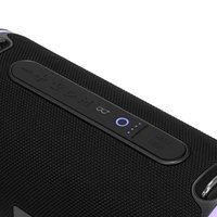 Portable speaker Fiero Intrepid P530, black