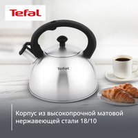 Чайник для плиты Tefal N4210117 серебристый