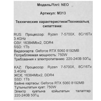 NEO M313