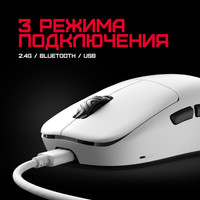 Impact Plus