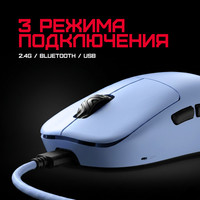 Impact Plus