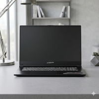 NEO G17-I7ND304