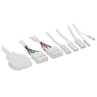 DOMINION X3 V2 FRGB