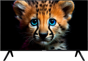 Изображение товара 55 дюймовый телевизор Topdevice TDTV55ES13U_BK с 4K UHD и Android 13