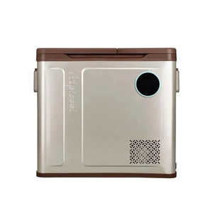 Изображение товара Холодильник автомобильный Alpicool WH58 (12/24) бежевый